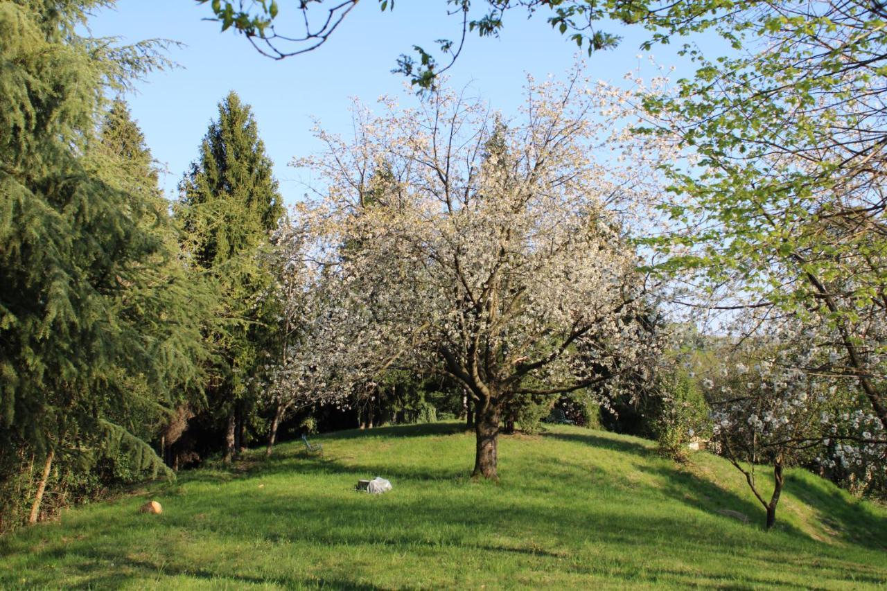 Villa Flangini Asolo Dış mekan fotoğraf